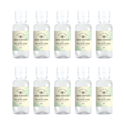 Hand Sanitizer 10 pack